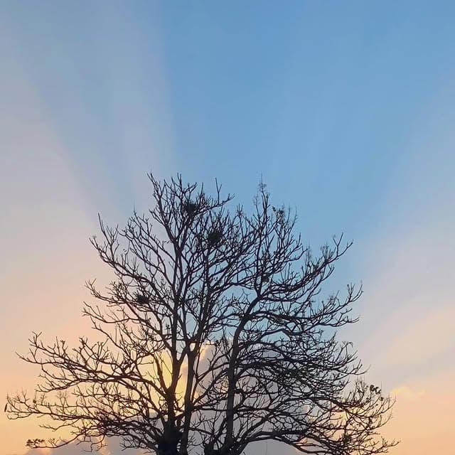 Singing Wanderers moment