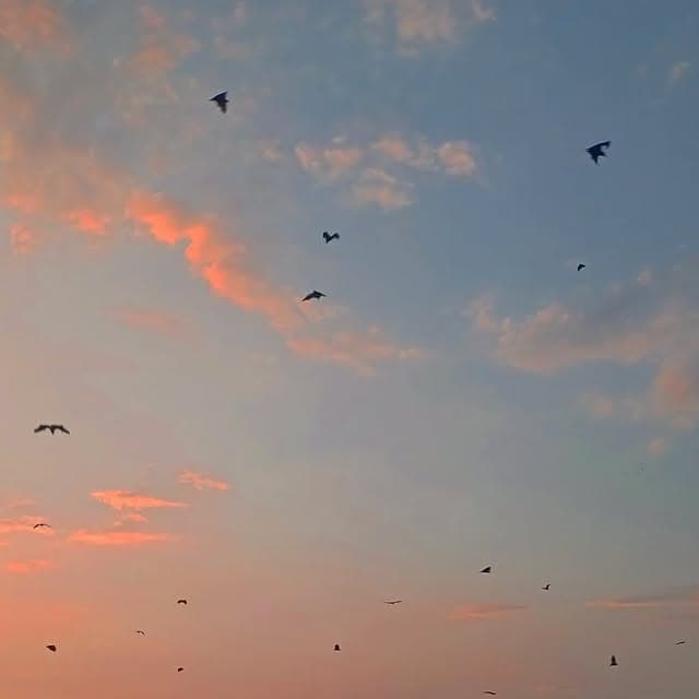 Singing Wanderers moment